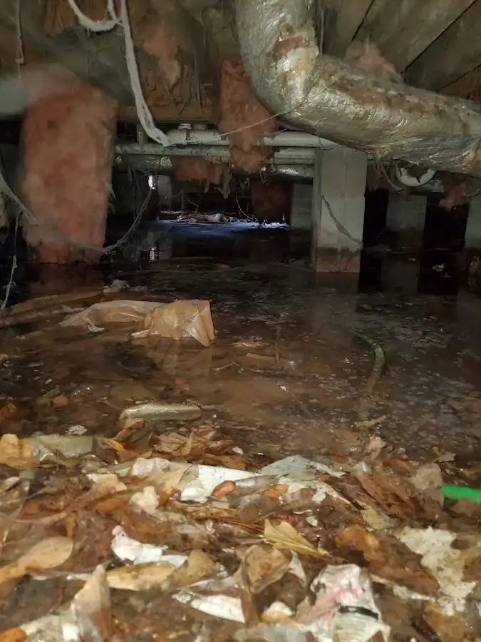 Crawl space flood assessment for Leak Detection & Repair in Westview
