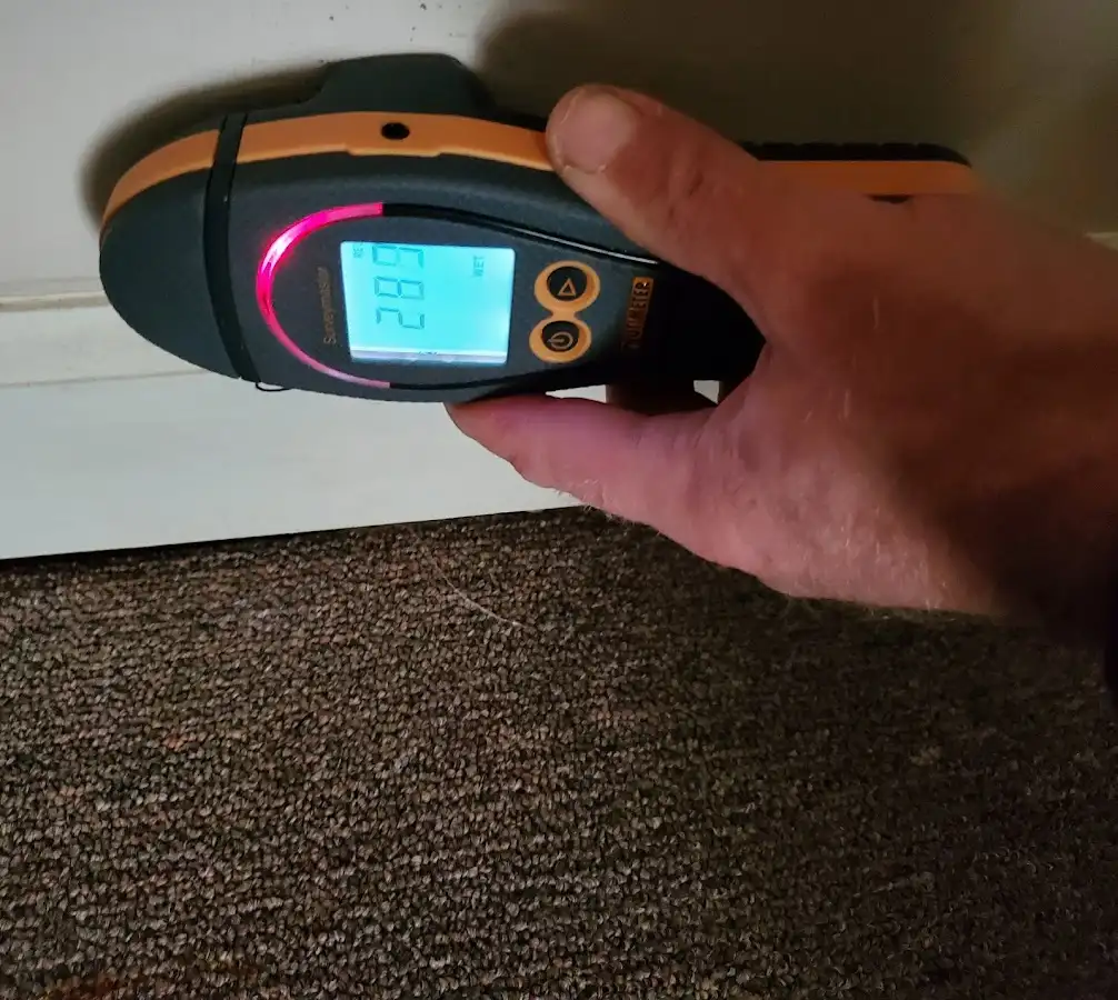 Moisture detection at baseboard during Mold Inspection & Testing in Westview