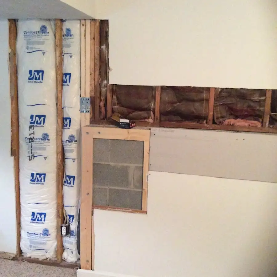 Wall insulation replacement during Odor Removal & Deodorization in Westview